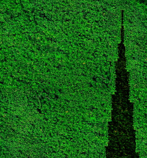 Green Khalifa